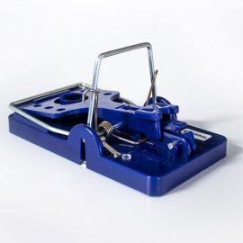 Xignal pułapka na szczury, 1 szt.