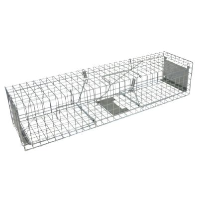 Dwustronna pułapka KC72, 1 szt.