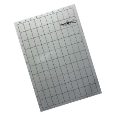 Lep do lamp Chameleon® EXG, 6 szt.