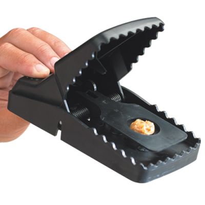 Szczurołapka Trapper T-Rex, 1 szt.