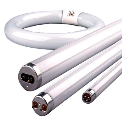 Świetlówka QBL 15W T5 30 cm, 25 szt.